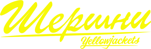 Шершни